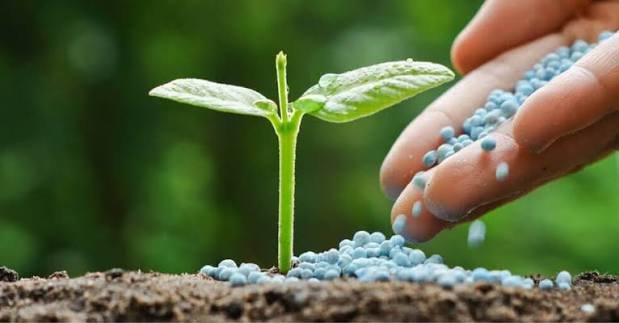 Fertiliser
